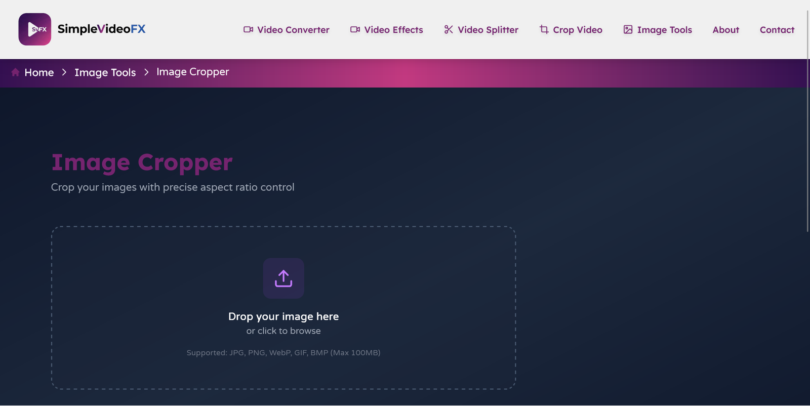 SimpleVideoFX desktop interface 1